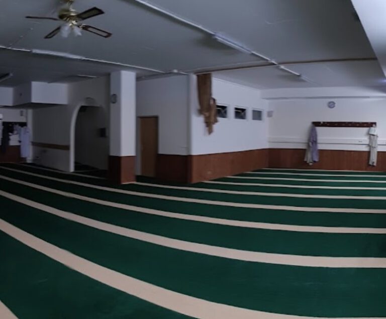 باسينغ 2 768x636