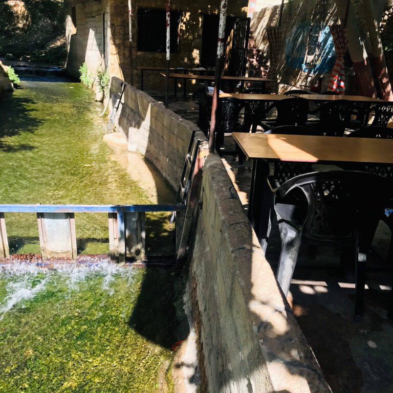 496252929 122112999998844168 47283788594480778 n 768x768